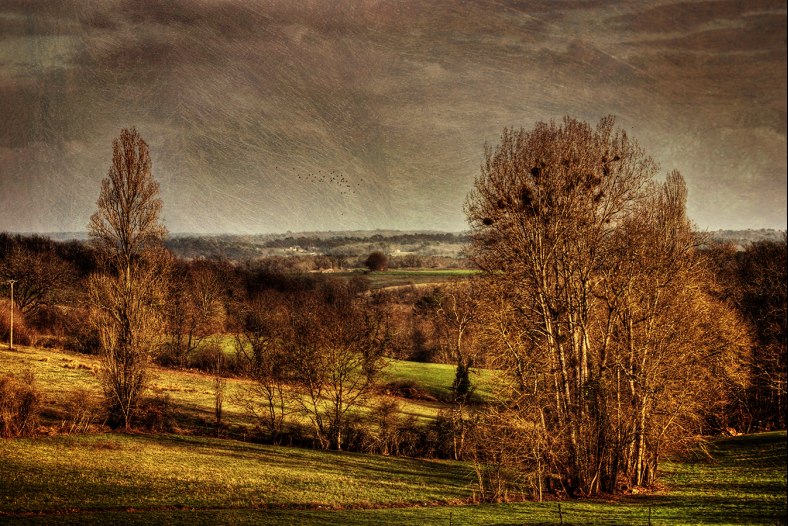 Before Winter's Onset
